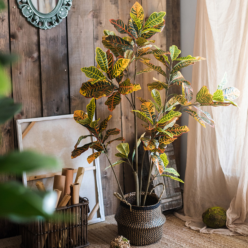 极速洒金榕树变色木大型绿u植盆景仿真植物客厅装饰假绿植落地摆
