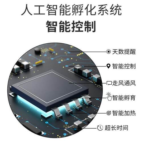 新品芦丁鸡宠物孵化箱p型家用全自动智能孵蛋器芦丁小鸡鸭鹅鸽子