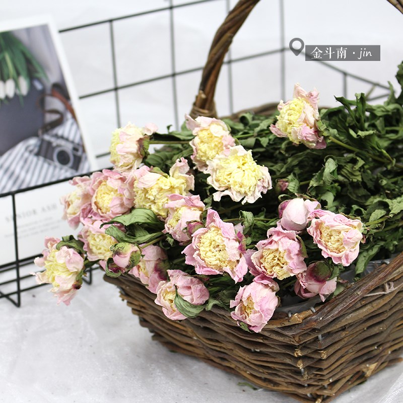 极速芍药干花天然原色真r花装饰插花摆设软装陈设民宿客栈摄影拍