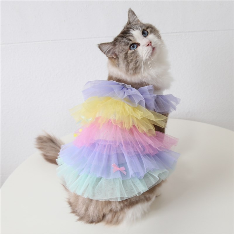 极速ins宠物猫猫咪衣服狗狗春C夏秋薄连衣裙蕾丝网纱可爱洋气