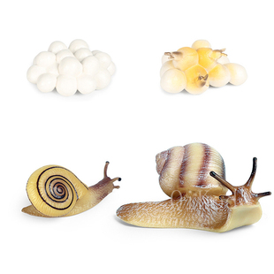 Cycle Growth Model Cock Earth 极速Simulation LocustY Animals