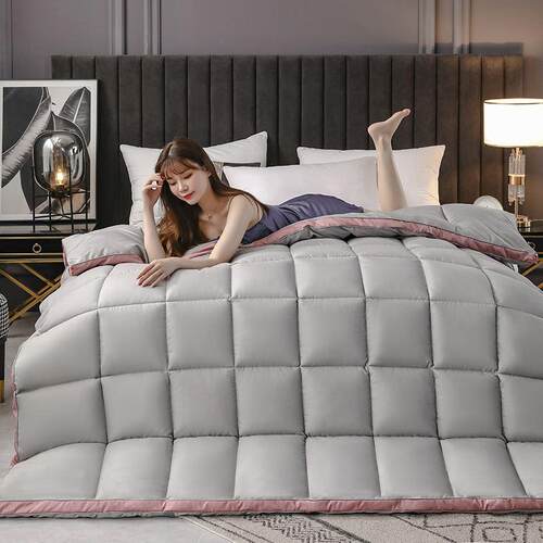 新品wianter goose down quilt comforter blanket duvet 全棉羽