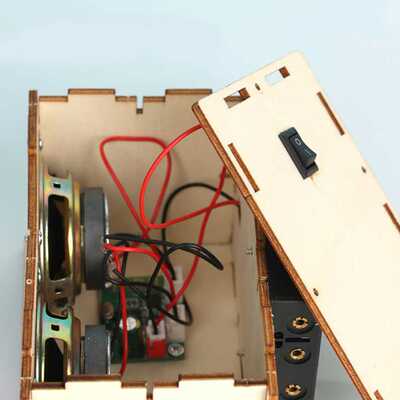 新品Speaker Box Kit ABsS Entertainment Electronic Sound Ampl