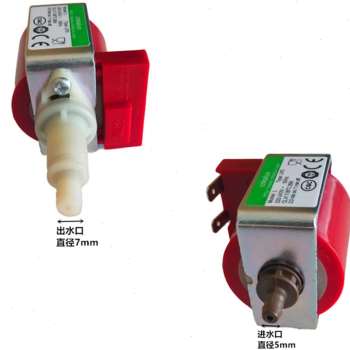 极速新品新品电磁泵蒸汽清洗q机配件2D20v25F瓦家用小型自吸式增