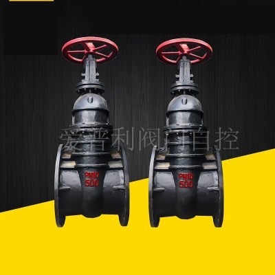 极速Z45 -1N/1i6铸铁暗杆铜芯法兰闸阀D0250 350 400T5V00 600 7