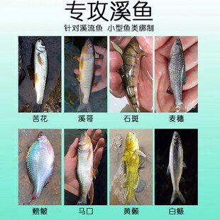 极速溪流钓线组三粒漂专用小物白条马口逗钓子线S双钩鱼线套装七