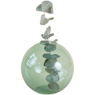 新品创意水培瓶植物透明玻璃x花瓶容器绿萝花盆鱼花共养缸水养摆