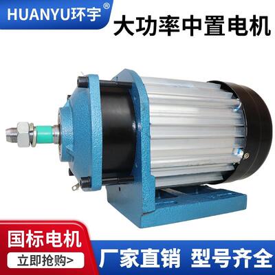 大功率中置减速电机48V60V72V1500W4000W直流无刷载重电动王变频