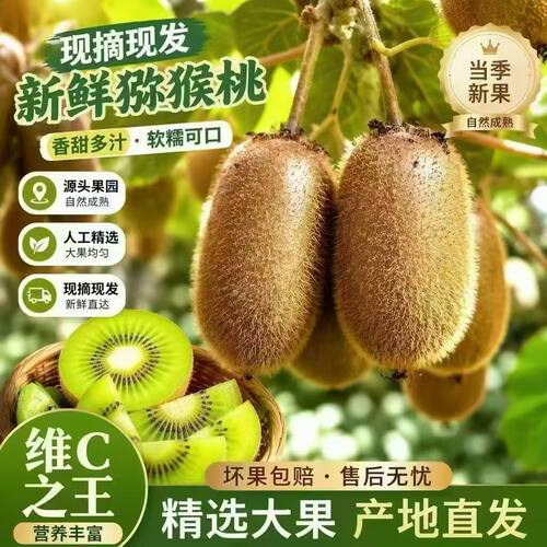 贵州修文新鲜猕猴桃奇异果猕猴桃当季绿心10斤送礼