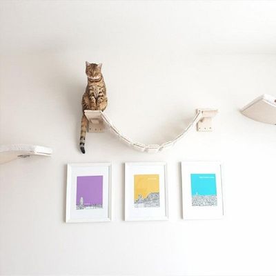 极速newMulti-layer Board Wall Hanging Cat Climbing WLadder C