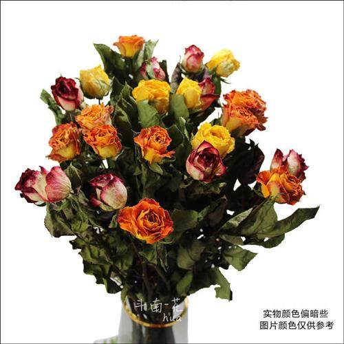 极速玫瑰干燥花 欧式小清新花瓶A装饰 闺蜜节日花束礼物 买三束随
