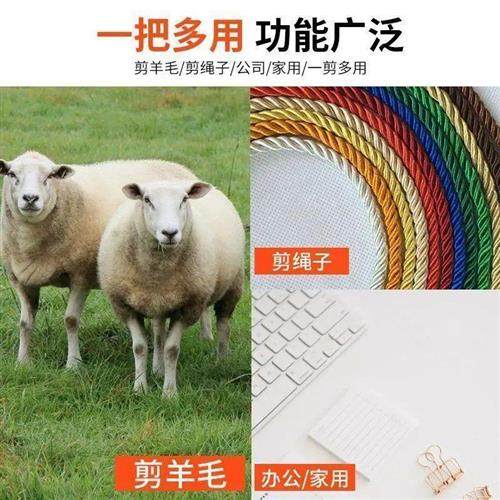 极速德国进口羊毛剪n刀手动剃羊毛剪羊毛/剪刀大号剪子兔毛狗毛剪