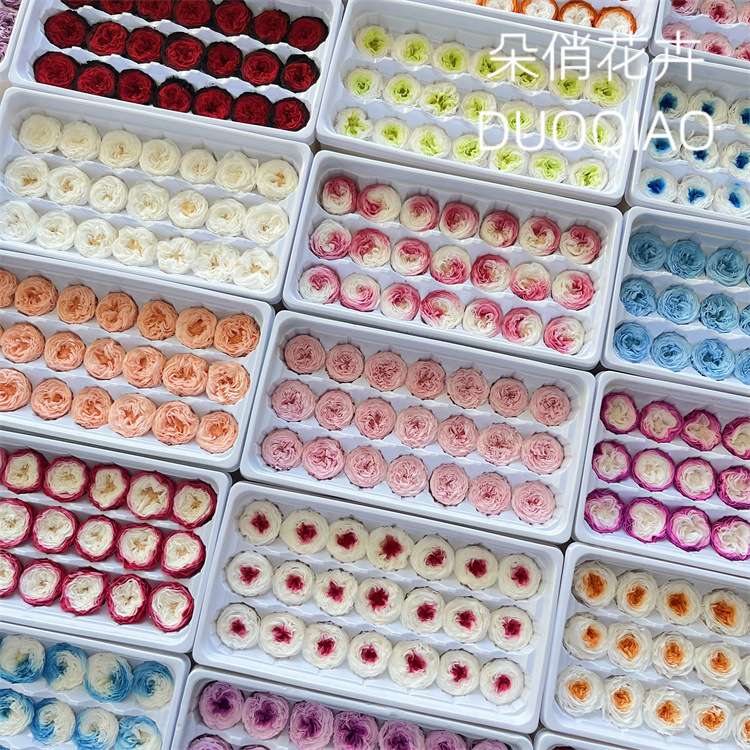 优质A级永生奥斯汀玫瑰花2-3cmDIY玻璃罩手工花材玫瑰花