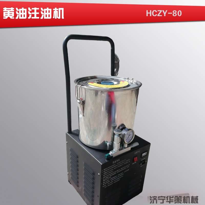 220V电动黄油抢 24V高压挖机用货车打黄油机 220V润滑注油器