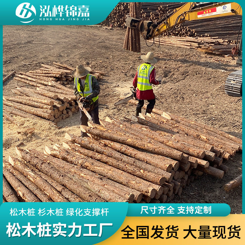 本地建筑河道松木桩松木木梁木柱子河堤松树桩源头厂家直发