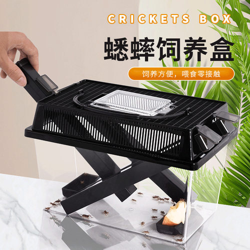 新派WACOOL玩酷蟋蟀饲养盒透气