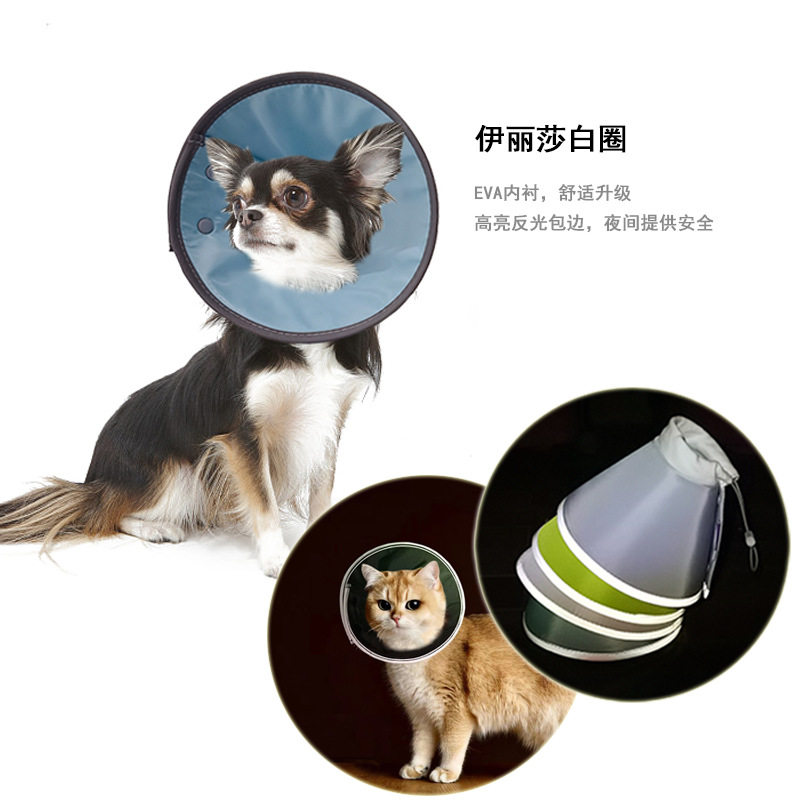 宠物伊丽莎白圈猫咪术后项圈狗狗防咬防舔圈安全反光宠物防护用品,宠物/宠物食品及用品,宠物伊丽莎白圈,淘宝优惠券,粉丝福利购,淘宝优惠卷