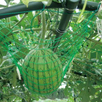 极速新款b撑黄瓜爬藤架园艺种菜支庭架植AHK物藤架攀爬室外子葡萄