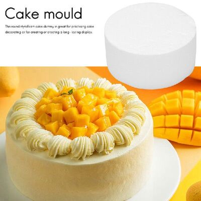 极速Roufnd Cake Dummy (6 inch)