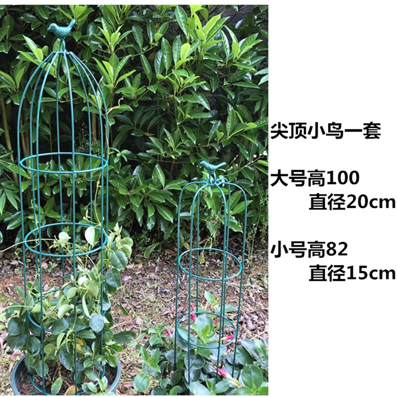 极速铁艺植物攀爬山乌龟铁线莲蓝雪月季花架子爬藤架造Z型小支架