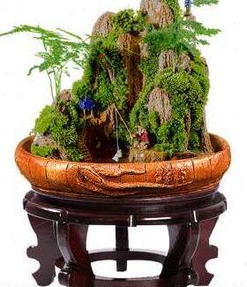 极速吸水假山盆景石植物室内山水造景小盆栽罗Q汉松清香木绿植悬