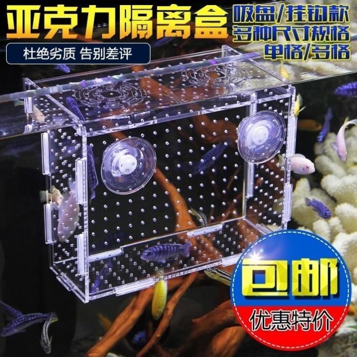速发鱼产隔离缸中缸保护小鱼苗繁带鱼缸房孵化盒 小悬浮热殖箱吸