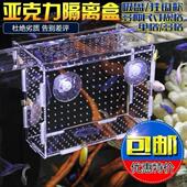 速发鱼产隔离缸中缸保护小鱼苗繁带鱼缸房孵化盒 小悬浮热殖箱吸