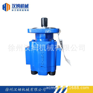 P5100 803004078 F100 徐工原厂备件 徐工装 齿轮泵 载机