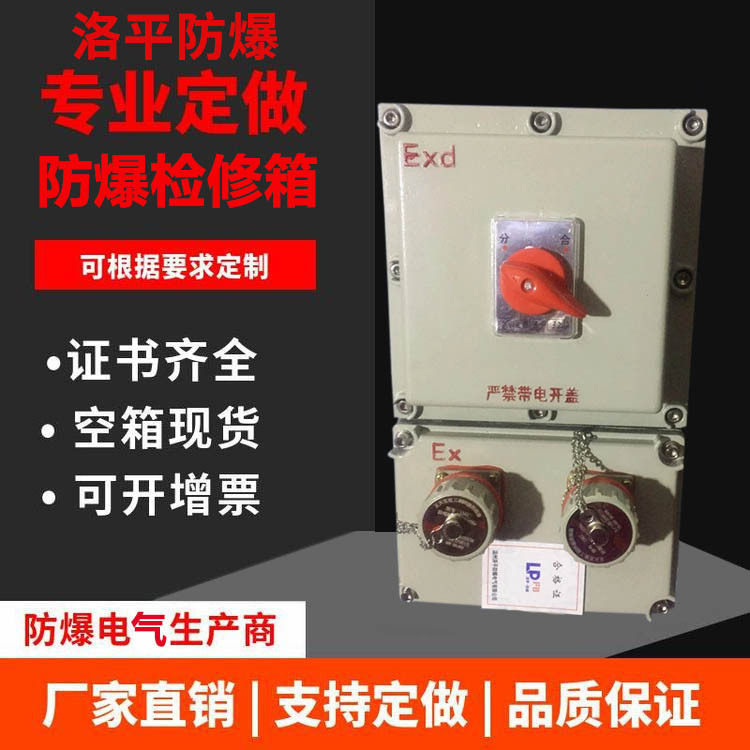 防爆检修配电箱2回路IIC级