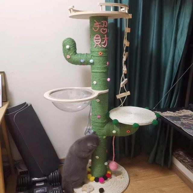 仙人掌爬架猫窝diy麻绳包绿太空舱自制底座全套猫爬架材料其他