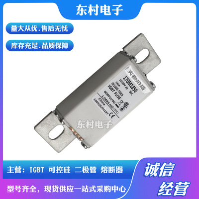 全新熔断器170M2716 170M2717 170M2718 170M2719现货