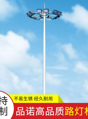 厂家供应PN-001路灯杆 6米单叉双叉灯杆 LED户外照明路灯杆高灯杆