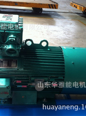 YH-225M-8-22KW电机IP66防护等级YSF等级B35标准双伸轴415V/50HZ