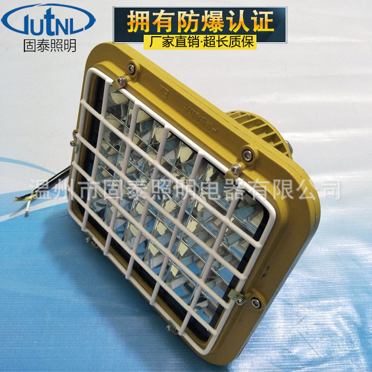 GTB720-60WLED防爆灯 防爆LED投光灯泛光灯 带防护网罩 24V220V