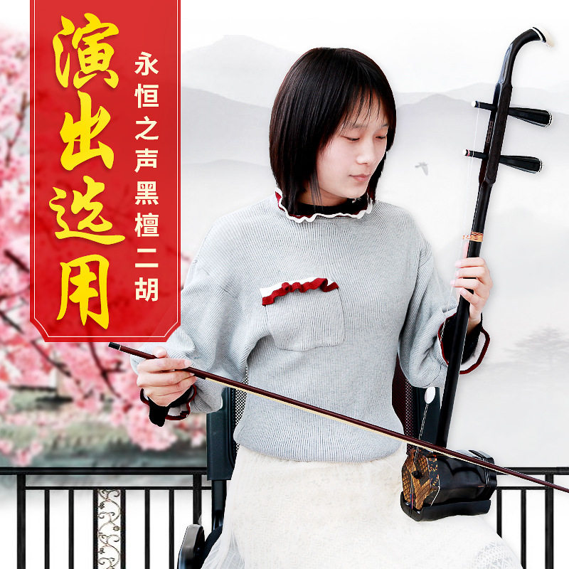 黑檀二胡乐器厂价销售入门二胡表演级紫檀二胡民间初学者