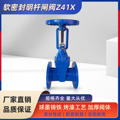 Z41X-16弹性座封软密封法兰闸阀DN100手动水利自来水阀门明杆闸阀