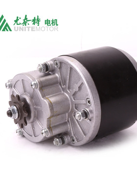尤奈特永磁直流有刷减速电机农机电动滑板车MY1016Z3-350W36V24V
