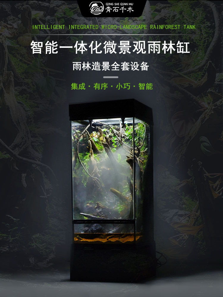 小型雨林缸雨林灯造景套餐全套控制系统缸微景观桌面简洁