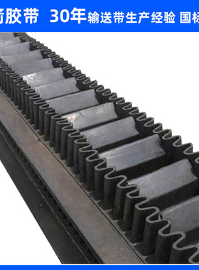 河北蓝箭供应波纹挡边EP200 B500-2200、S60-S600大倾角输送带