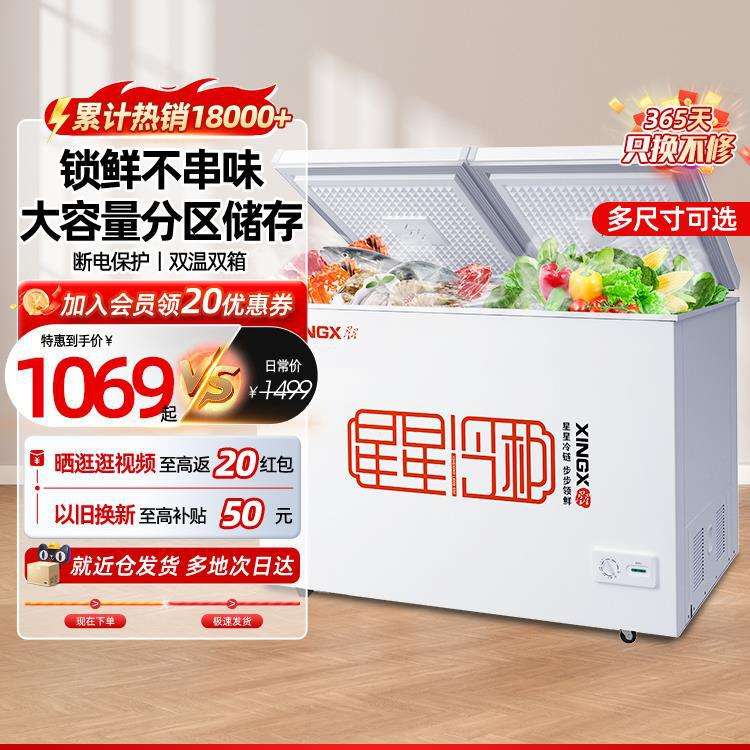冰箱商用大容量冷藏双温两用小型冷冻柜冷冻冰柜家用其他直冷