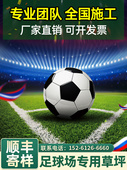 足球场专用草坪人造户外绿色五七人制运动人工草坪地毯彷真假草皮