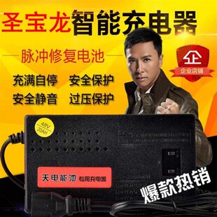 极速圣宝龙电动车专用充电器2o4V36V48V12AH60V64V72V80V84V96V20