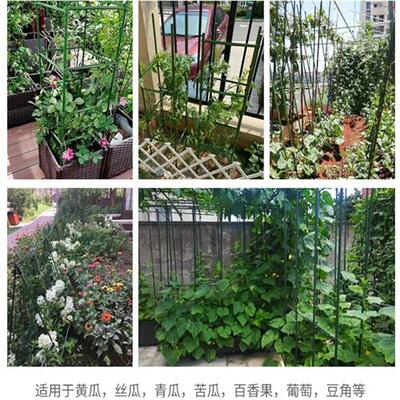 极速种菜支伸缩杆搭架杆葡萄黄y瓜豆角架子丝瓜爬藤架菜园支架杆