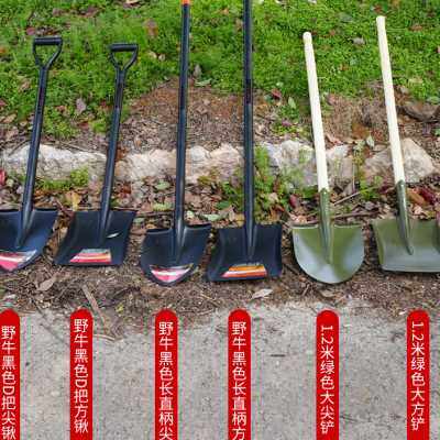 极速户外家用园林工具全钢加厚挖土铁锹铁铲农用园艺X种花小铲子,鲜花速递/花卉仿真/绿植园艺,铲子,淘宝优惠券,粉丝福利购,淘宝优惠卷