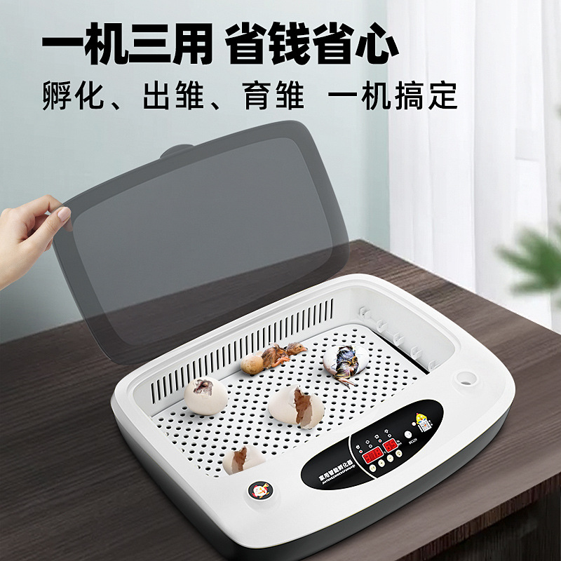 极速新品厂器全自动智能小型家用型迷你y孵蛋器S小鸡孵化箱炫彩鸡