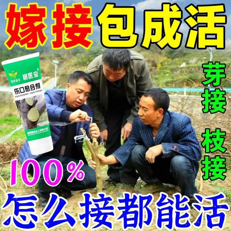 极速果树嫁接药h水植物嫁接伤口癒合膏剂神器树木生根剂人工树皮,鲜花速递/花卉仿真/绿植园艺,家庭园艺肥料,淘宝优惠券,粉丝福利购,淘宝优惠卷
