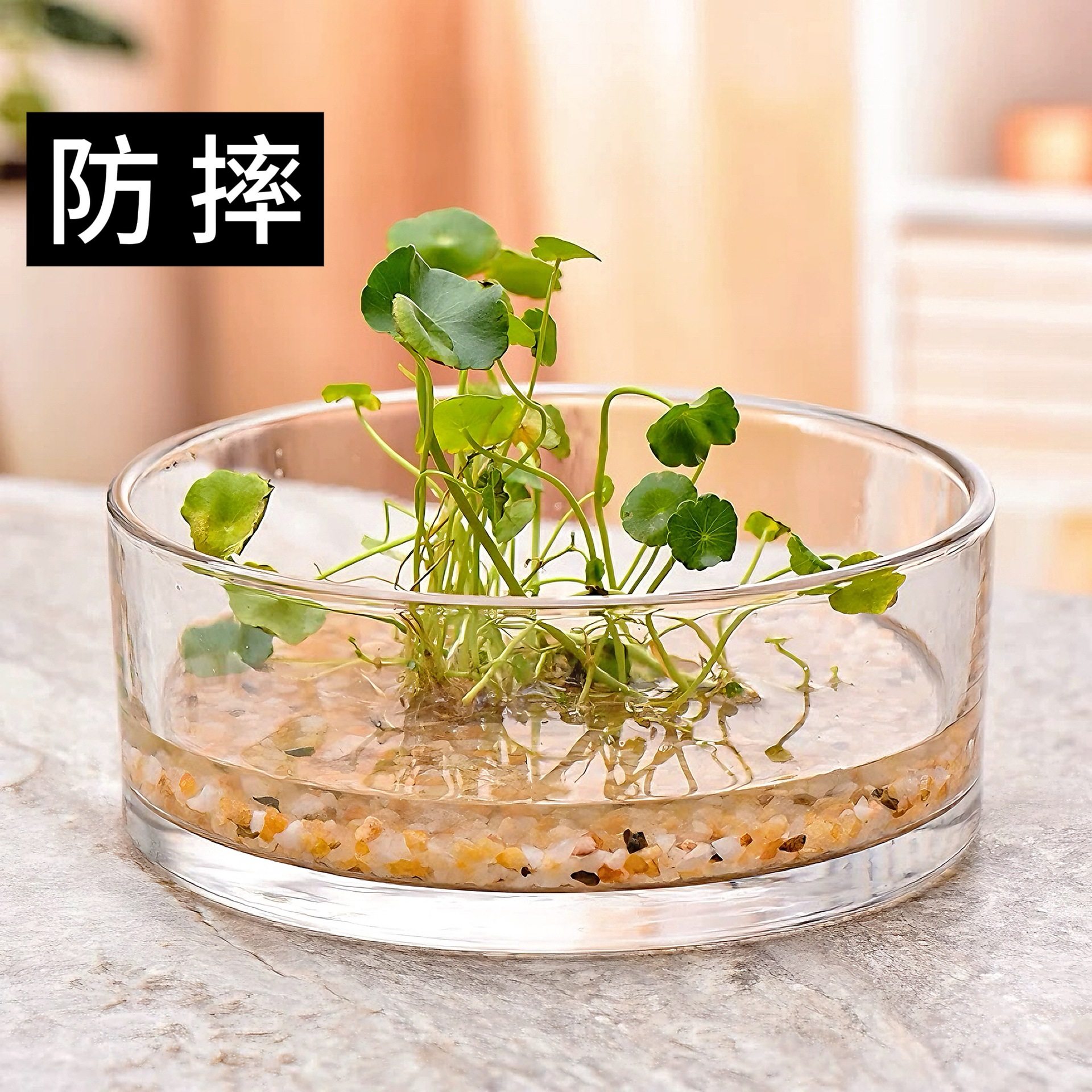大口径透明圆缸水培花器