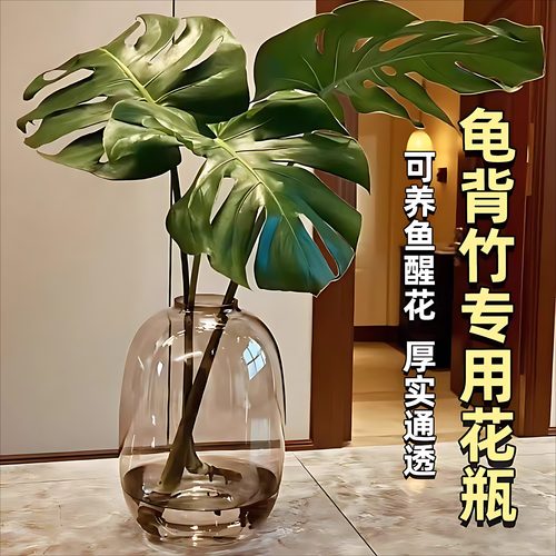 大号玻璃水培龟背竹花瓶插花花器