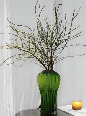 北欧轻奢创意仙人掌玻璃花瓶绿色花器大号客厅玄关摆件水培器皿