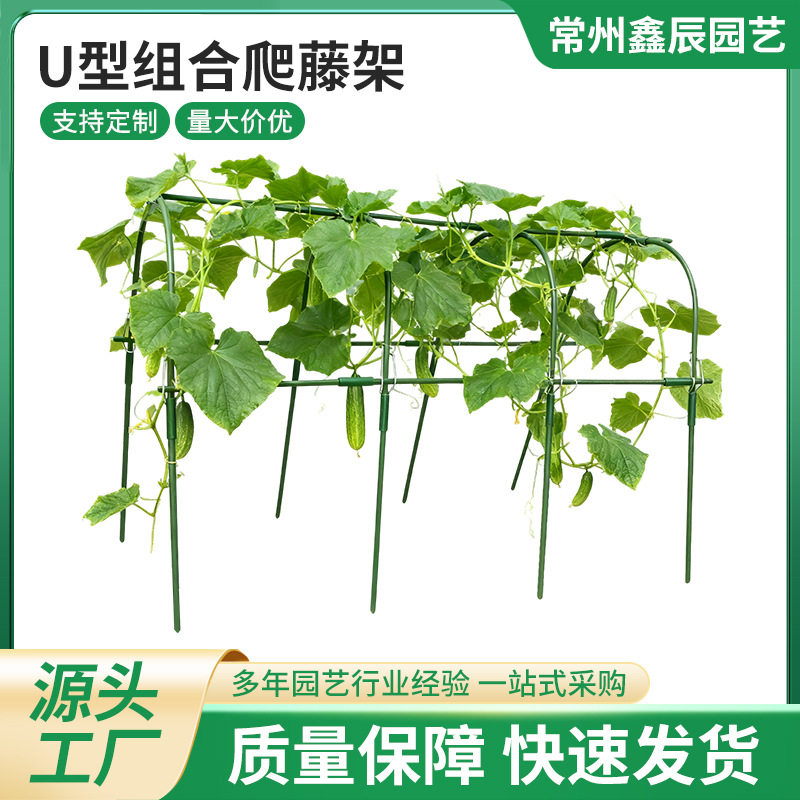 源头厂家直供U型爬藤架自由组合黄瓜架丝瓜架组装批发绿植